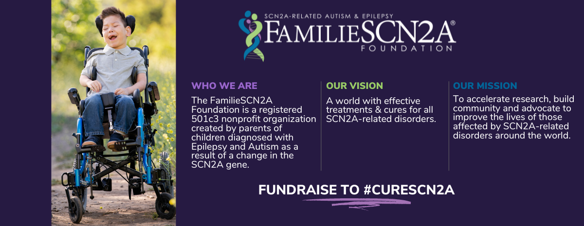 DIY Fundraisers for SCN2A-Related Disorders